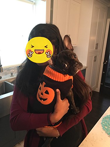 Hapee Dog Sweaters, Halloween Pet Clothes For Dog Cat #TOP4