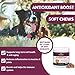 Natural Anti Inflammatory Joint Supplement for Dogs - Premium Antioxidants for Dogs to Help Ease Hip & Joint discomfort + Immune System Boost and Cell DNA Health Protection - 90 Soft Chews - Made USA