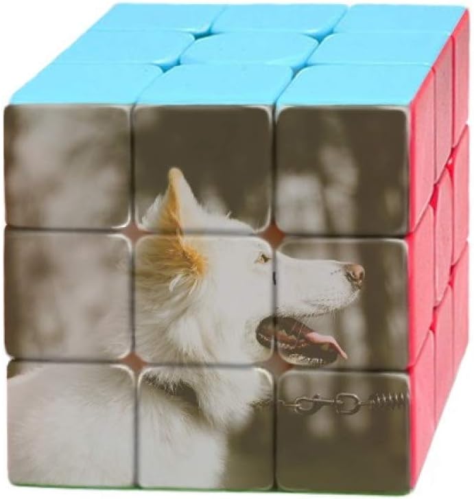 dog puzzle cube
