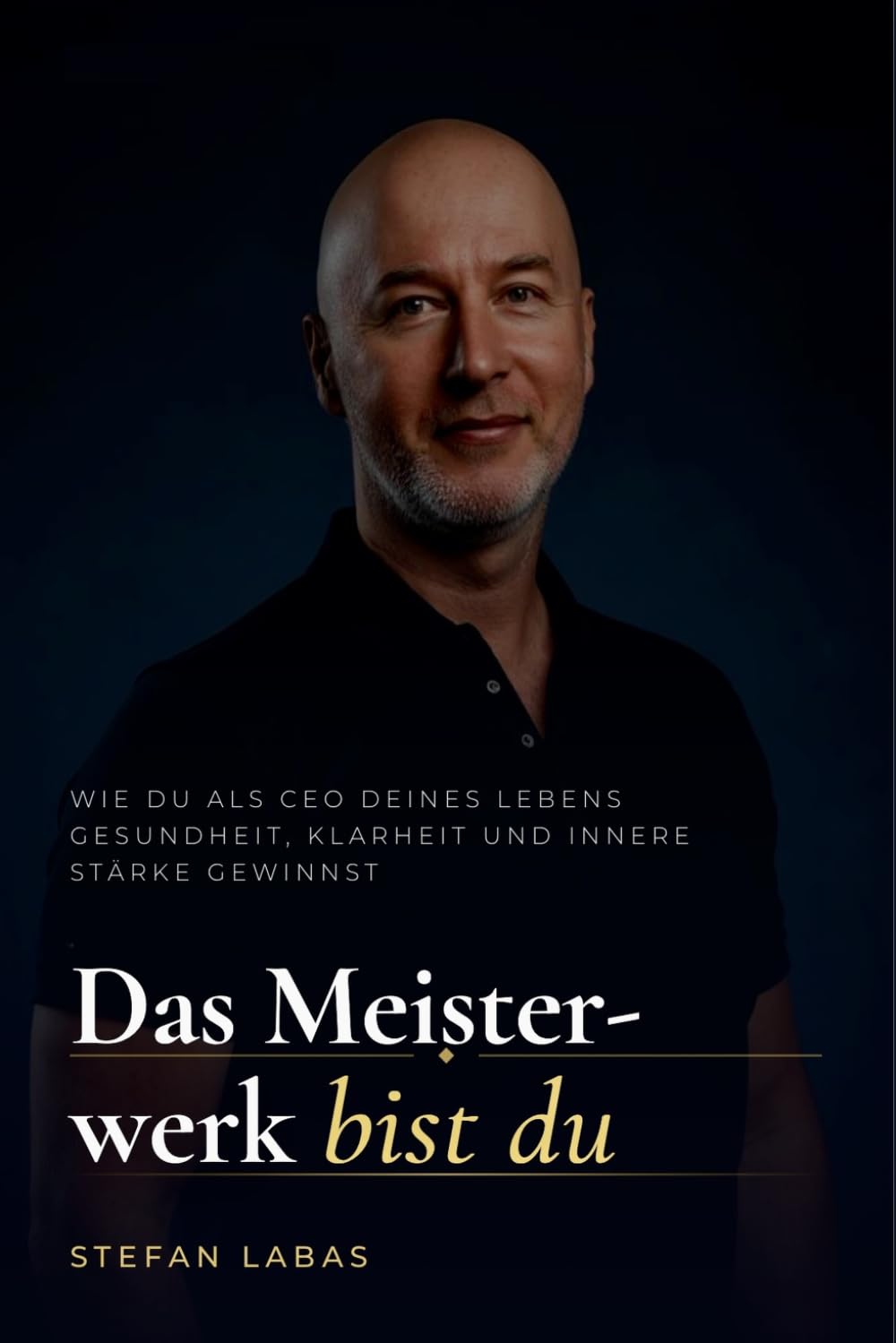 DAS MEISTERWERK BIST DU: Wie du als CEO deines Lebens Gesundheit, Klarheit und innere Stärke gewinnst