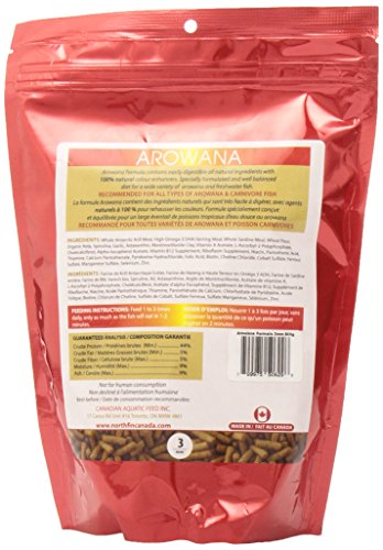 Northfin Arowana #TOP1