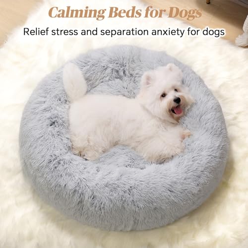 Calming Small Dog Bed, Donut Fluffy Anti-Anxiety Round Washable Cute Bed, Plush Cozy Cuddler Warming Soft Comfort Pet Bed for Small Medium Dogs Cats, 20inch,Light Grey - Image 3