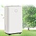 Osuszacz, osuszacz elektryczny, przenośny osuszacz pokojowy 20L / 25L, łazienka Apartament Sypialnia Piwnica Cicha suszarka powietrza, obszar osuszania 55㎡ / 63㎡, funkcja odszraniania,20L