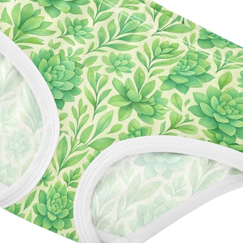 Toddler Underwear Floral 2t Cotton Panties Little Girl Animal Briefs Underpants Watercolor Pastel Green Succulents4