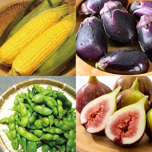 泉州TONOファーム 野菜とフルーツの旬の味リレー[7月〜10月発送]水ナス トウモロコシ 枝豆 いちじく 泉州野菜 朝採れ 規格外 訳あり[定期便]