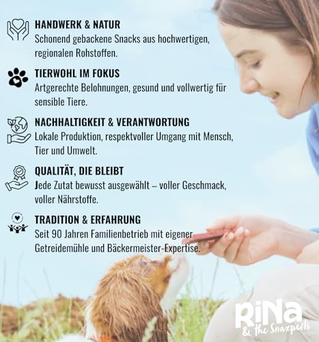 3er Set Snack-Zöpfe für Hunde – 100% Lachshaut, schonend getrocknet – Proteinreiche Hundesnacks mit Omega-3, -6 & -9 – Zahnpflege, Haut & Fell, Gelenke & Nervensystem – RiNa Hundeleckerlies