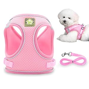 Dog Harness and Leash Set, No-Pull Puppy Vest for Small Dogs and Cats, Easy Control Vest Harness with Adjustable Straps and Reflective Strip for Outdoor Walking Training