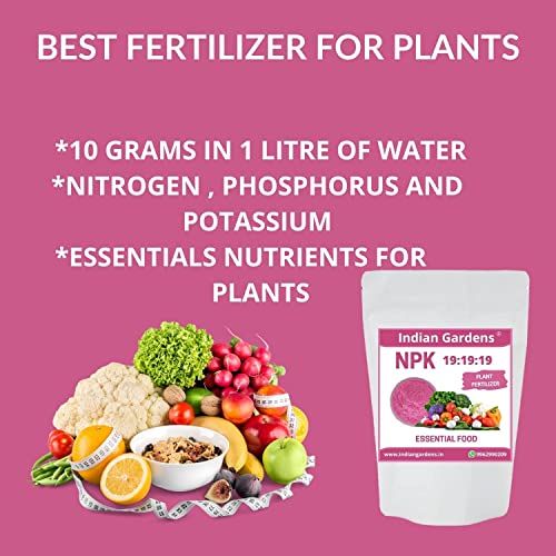 Image of Indian Gardens NPK 19:19:19 Fertilizer for Plants And Plant food | Flowering Booster and Growth - 1 Kg