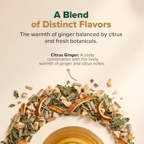 Image of VAHDAM Turmeric Citrus Ginger Tea(3.53 oz| 50 Cups)Caffeine Free Herbal Tea