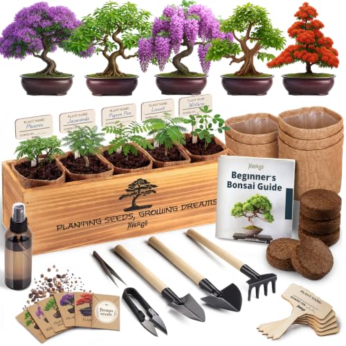 Bonsai Tree Kit Classic - Sprouting 5 Unique Japanese Bonzai Trees