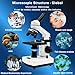 Upgraded 40X-1000X Professional Optical Composite Microscope with Abe Spotlight and Cursor Caliper,Coaxial Bi-Focus, WF10 and WF25X Eyepieces for Education, Student Experiment, Gift