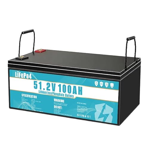 LiFePO4 Batteria da 48V 100Ah batteria al litio ferro fosfato, dotata di BMS da 100 A, durata superiore a 8 anni, adatta per campeggio, energia solare, alimentazione di emergenza, ecc.