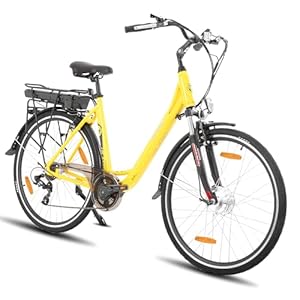 Hiland Elektrische fiets voor volwassenen, dames en heren, 28 inch, 250 W, e-bike met 36 V, 7,8 Ah uitneembare accu, pendelaar, elektrische fiets, 7 versnellingen, Step Through frame