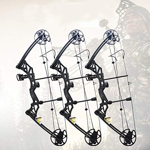 ZSHJGJR コンパウンドボウ アーチェリー コンパウンドボウ 弓矢 狩猟