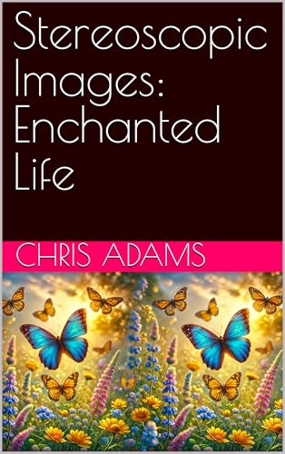 Images stéréoscopiques livre 3D Enchanted Life stéréogramme anglais - 2