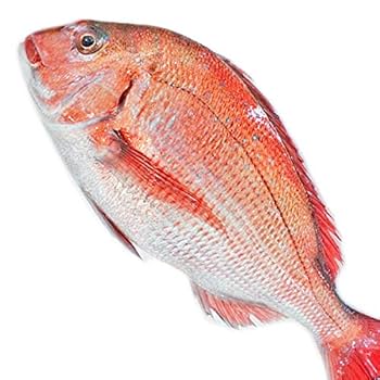 お魚　特大　看板　 鯛　●縦64ｃｍ　●横118ｃｍ　●幅17ｃｍ　　X855 お魚 特大 看板 鯛 ○縦64cm ○横118cm ○幅17cm X855