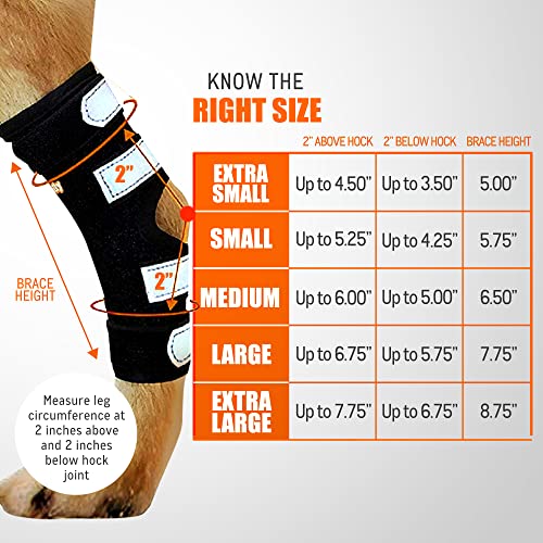 Image of NeoAlly - 3-in-1 Long Rear Leg Hock Brace, Dog Leg Brace for Rear Leg with Rigid & Spring Inserts, Hock and Ankle Support, Dog Leg Sleeve with Reflective Straps, Small, 1 Pair