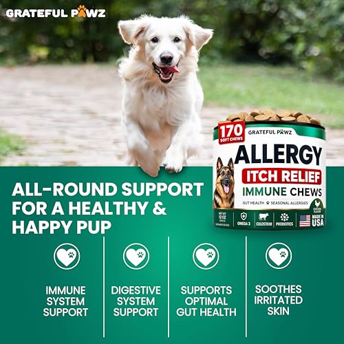 Image of Dog Allergy Chews - Dog Allergy Relief - 170 Treats with Probiotics and Colostrum for Itchy Skin Relief to Support Seasonal Allergy and Healthy Immune System - All Natural Anti-Histamine - Made in USA