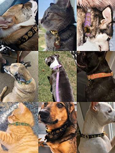 Waaag Pet, Moons Stars Suns Dog Collar Cat Collar, Multiple Designs Crescent Celestial Dog Cat Collar Leash Harness #TOP1