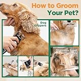 Gimars 6 in 1 7000 RPM Low Noise Dog Clippers with Professional Dog Grooming Scissors, Rechargeable Cordless Cat Grooming Kit Pet Trimmer Shaver with Comb & Scissors for Cats & Horse Thick Hair - Image 7