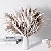 Produktbild Pampasgras Getrocknet, 80pcs Natürliche Pampasgras Dekor, Boho Wohnzimmer Dekoration, Blumen Arrangements Heim Decor