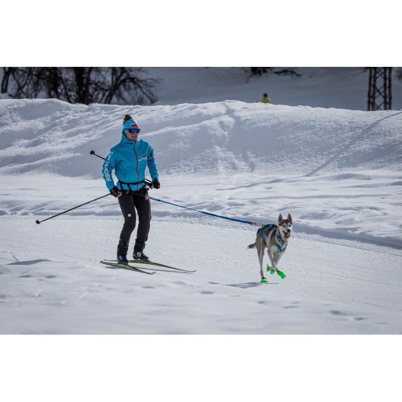 Inlandsis Skijor Pro - Laisse Skijoring