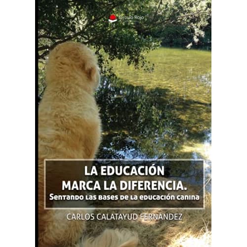 La Educación marca la diferencia (NOVELA)