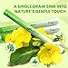 Herbal Diffuser Pen, Lung Cleanse Diffuser with Mullein, Thyme & Mint for Better Breathing, All Natural Swap - 600 Uses, 3 Diffusers, 1 Pack