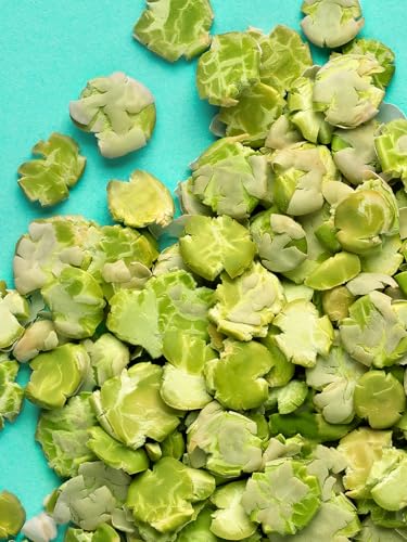 Little One Snack Pea Flakes para animales pequeños 200 g miniatura 2