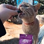 Hemp Well Cat Hairball Soft Chews for Cats, Hairball Control & Digestive Support, Organic Hemp Seed Powder, Pumpkin Seed & Psyllium Fiber, Skin & Coat Support, Chicken Cheese & Catnip Flavor, 60 Ct - Image 2