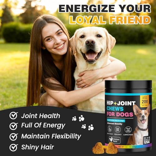 DANQAN Gelenktabletten Hund Arthrose Knochenschutz Tabletten Mit Hund Glucosamin Chondroitin Joint UnterstüTzt Die Gelenke Knochen FüR Bewegungsfreiheit FlexibilitäT 400g Huhn