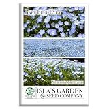 Baby Blue Eyes Seeds (Nemophila menziesii) – 1500+ Non-GMO Wildflower Seeds by Isla’s Garden Seeds, Charming Sky-Blue Blooms, Fast-Growing & Perfect for Borders, Containers & Pollinator Gardens, Gift