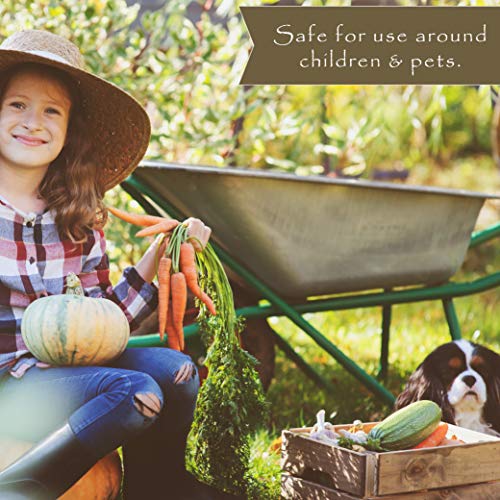 Preen Natural Vegetable Garden Weed Preventer - 5 Lb #TOP6