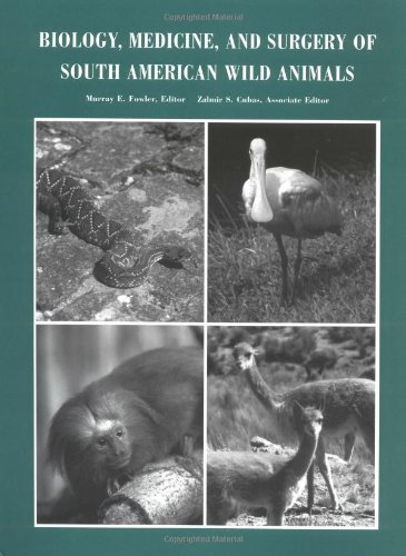 Amazon.in: Murray E. Fowler: books, biography, latest update