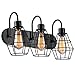 Elibbren Industrial Bathroom Vanity Light 3 Lights, Vintage Metal Cage Wall Sconce, Rustic Farmhouse Vanity Wall Light Fixture