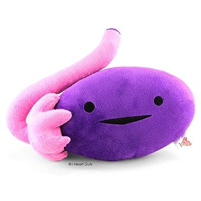 I Heart Guts Ovary Plush - OVA Achiever! - 10 Ovarian Cancer IVF Gift Stuffed Toy | Gift for PCOS, Ovarian Cancer Support, IVF, Ovulation Surgery, Egg Retrieval, TTC