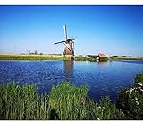 Größe für die Leinwand: 40x50cm