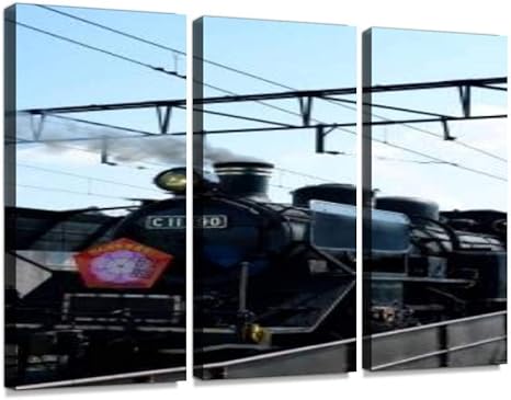 Amazon.co.jp : 大井川鐡道 sl 大鐵 黒い車体 蒸気機関車 黒い煙 背景 