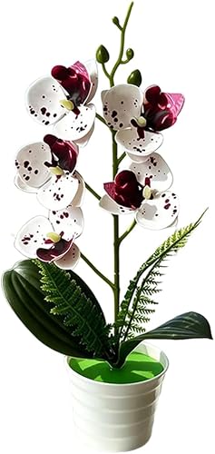 FACAIIO Dekorative künstliche Orchidee, 30 cm, künstliche Phalaenopsis mit einzi