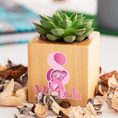 Women’s Day Succulent Plant Gift in Wooden Naturacube Pot – Elegant Non-Custom Office Décor for Desk, Home, Female Coworker, Wife, Friend – Indoor Greenery Gift Idea for 8th March & Appreciation