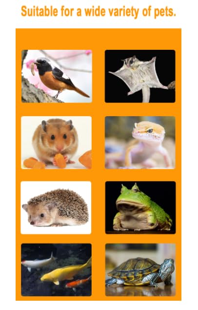 BIONA Organic Haricot Beans, 400 GR