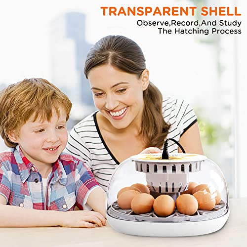 Egg Incubator, 12 Egg Incubator With Automatic Egg Turning And Temperature Humidity Control,360 View Incubators With Full Accessories,For Hatching Eggs Goose Quail Duck, Gift For Bird Lover #TOP1