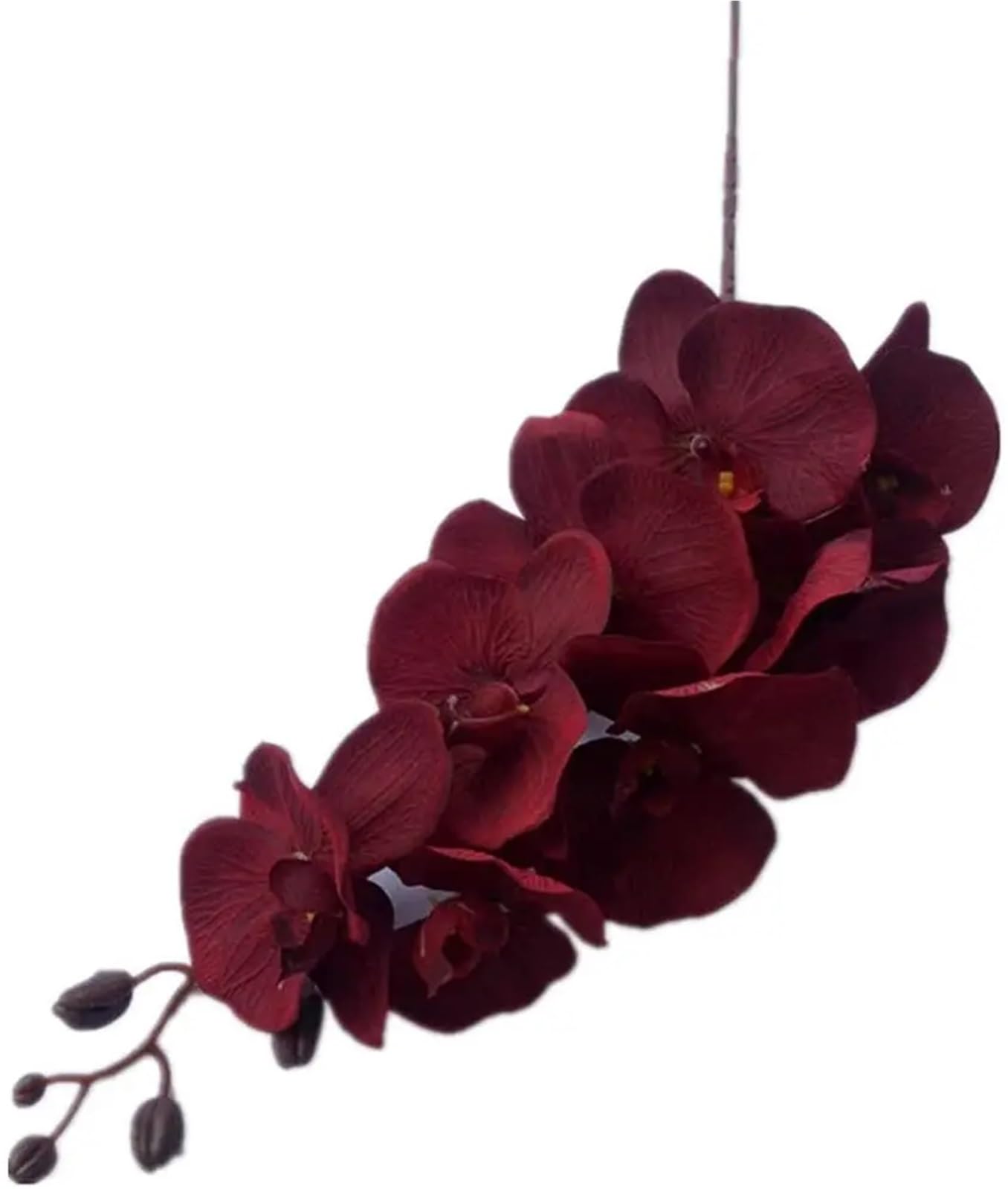 LSYHHXC Artificial Orchid 5p Orchids (8 Heads/piece) Big Size Phalaenopsis Moth Black/white For Wedding Centerpiece Decorative