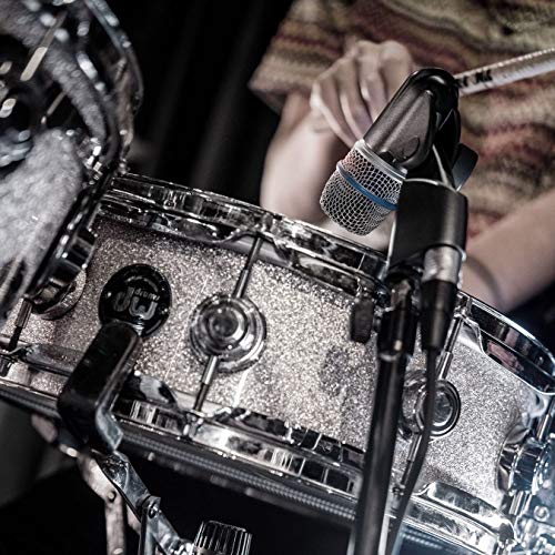 Shure Beta56A Super Cardioid Swivel-Mount Dynamic Microphone With High Output Neodymium Element For Vocal/Instrument Applications, Gray #TOP13