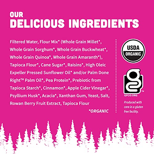 Happy Campers Cravin’ Raisin Cinnamon Spice Gluten Free Bread, Organic, Non-Gmo, Vegan, 17.4 Oz Loaf (Pack Of 6) #TOP2