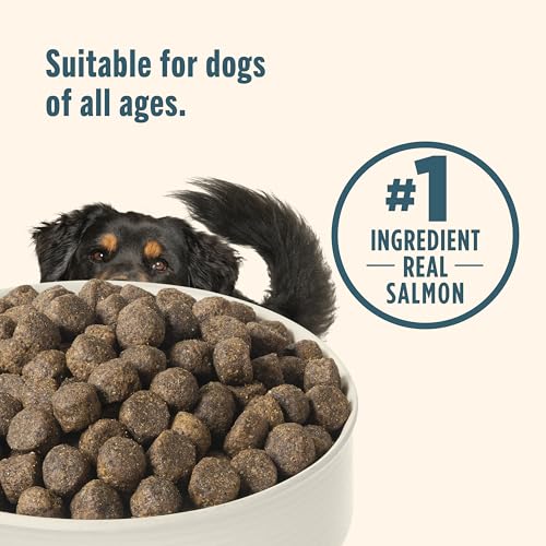 Nutrish Grain Free Salmon Dry Dog Food, 11.5 lb. Bag (Rachael Ray) - image 6