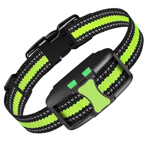 IHPUKIDI Collier de Dressage para Perros, Receptor de Entrenamiento para Perros, Modelo E300, Verde, para todas las etapas de la vida, para todas las razas, 1 unidad