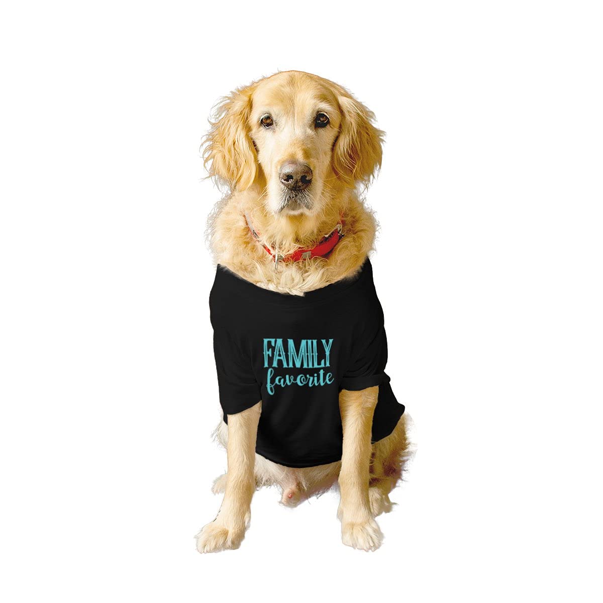 RuseRuse Basic Crew Neck Family Favourite Printed Half Sleeves/Apparel/Clothes/T-Shirt Gift for Dogs.Colour-Black/Small/Medium (Chubby Pugs, Beagle etc.)