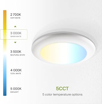 ASD 1 Pack LED Disk Lights 6 Inch, 15W 5CCT 2700K-5000K 1245LM CRI90+, Dimmable Flush Mount Ceiling Light Fixture, Low Profile Surface Mount Disc Lights, Junction Box or Recessed Can Install, UL