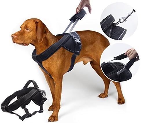 seresto flea collar sizes